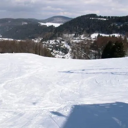 Modern Apartment Near Willingen With Private Terrace And Use Of Garden * Willingen (Upland)