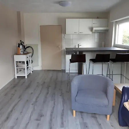 Modern Apartment Near Willingen With Private Terrace And Use Of Garden * Willingen (Upland)