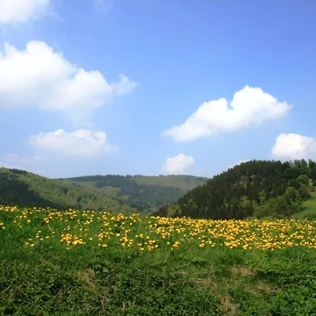 アパート Am Iberg III *