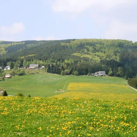 Modern Apartment Near Willingen With Private Terrace And Use Of Garden Apartamento *