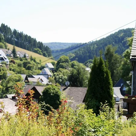 Apartamento Modern Apartment Near Willingen With Private Terrace And Use Of Garden Willingen (Upland)