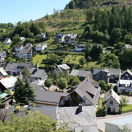 Modern Apartment Near Willingen With Private Terrace And Use Of Garden * Willingen (Upland)