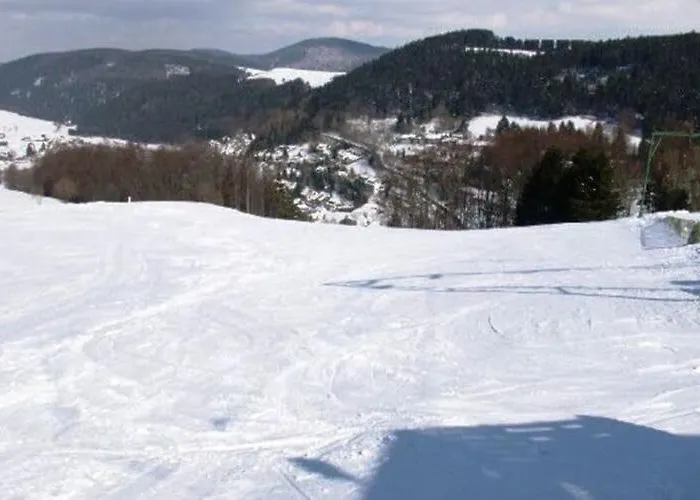 Modern Apartment in Willingen with Garden *