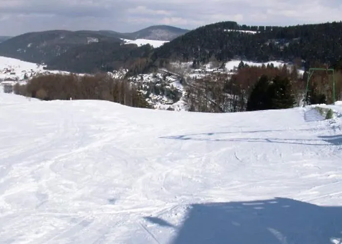 Apartment Modern Apartment in Willingen with Garden