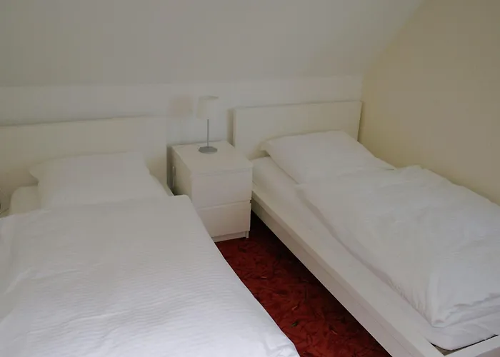 Apartment Modern Apartment in Willingen with Garden *