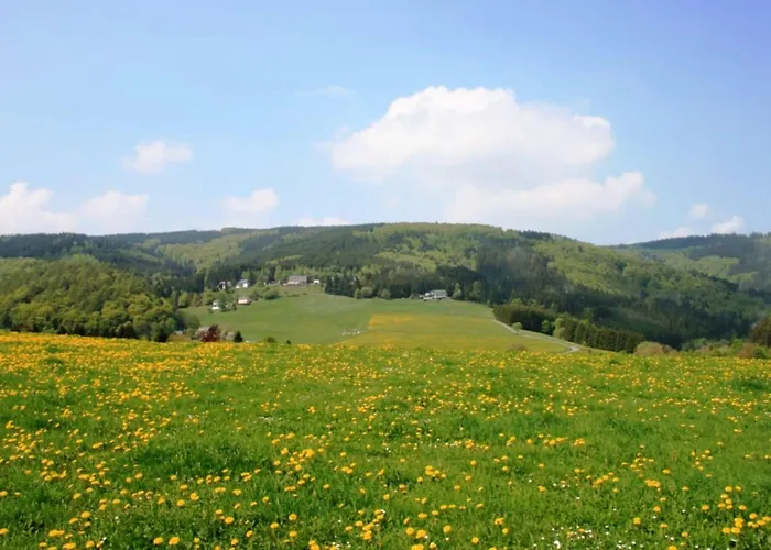 Modern Apartment in Willingen with Garden Apartment *