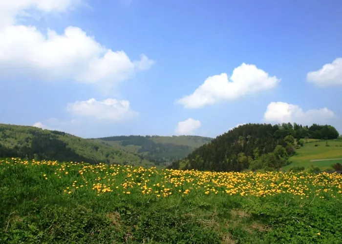 Apartment Modern Apartment in Willingen with Garden *
