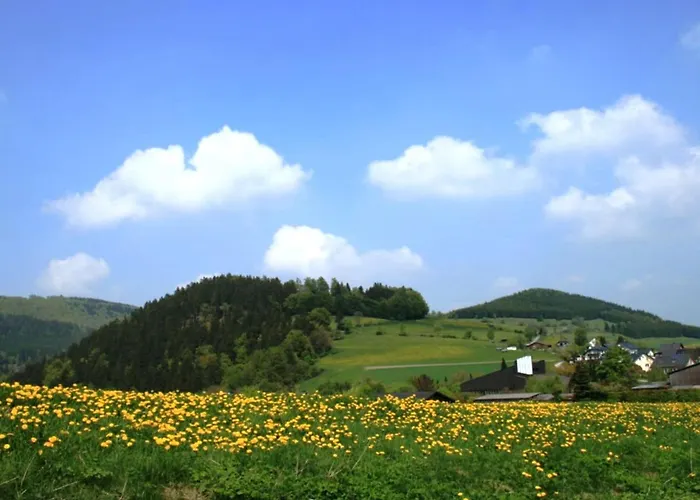 Apartment Modern Apartment in Willingen with Garden *